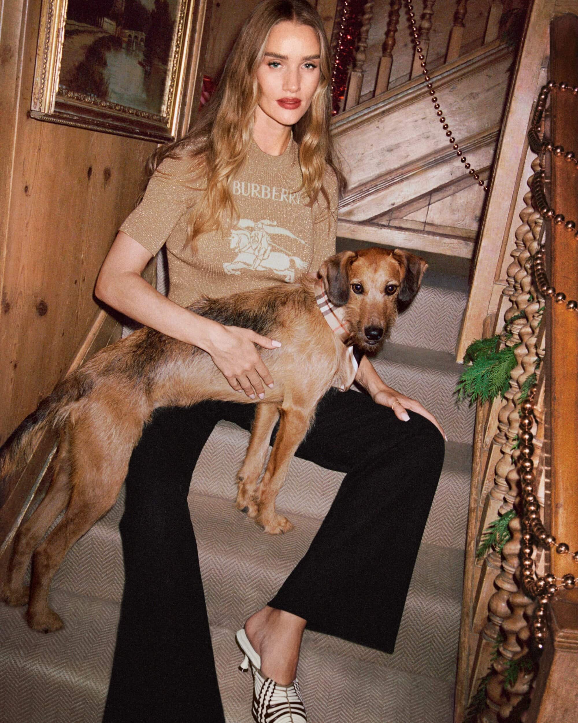 A blonde woman in a designer sweater and black pants is sitting on wooden stairs with an Irish Terrier dog in an indoor setting.