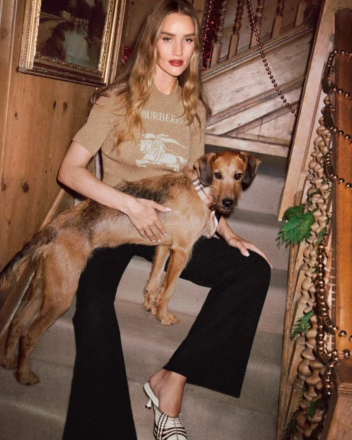 A blonde woman in a designer sweater and black pants is sitting on wooden stairs with an Irish Terrier dog in an indoor setting.