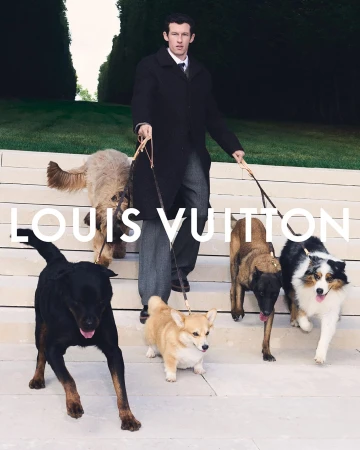 An adult male in a dark coat walks down stairs with five dogs of different breeds, photographed outdoors with Louis Vuitton text overlay.