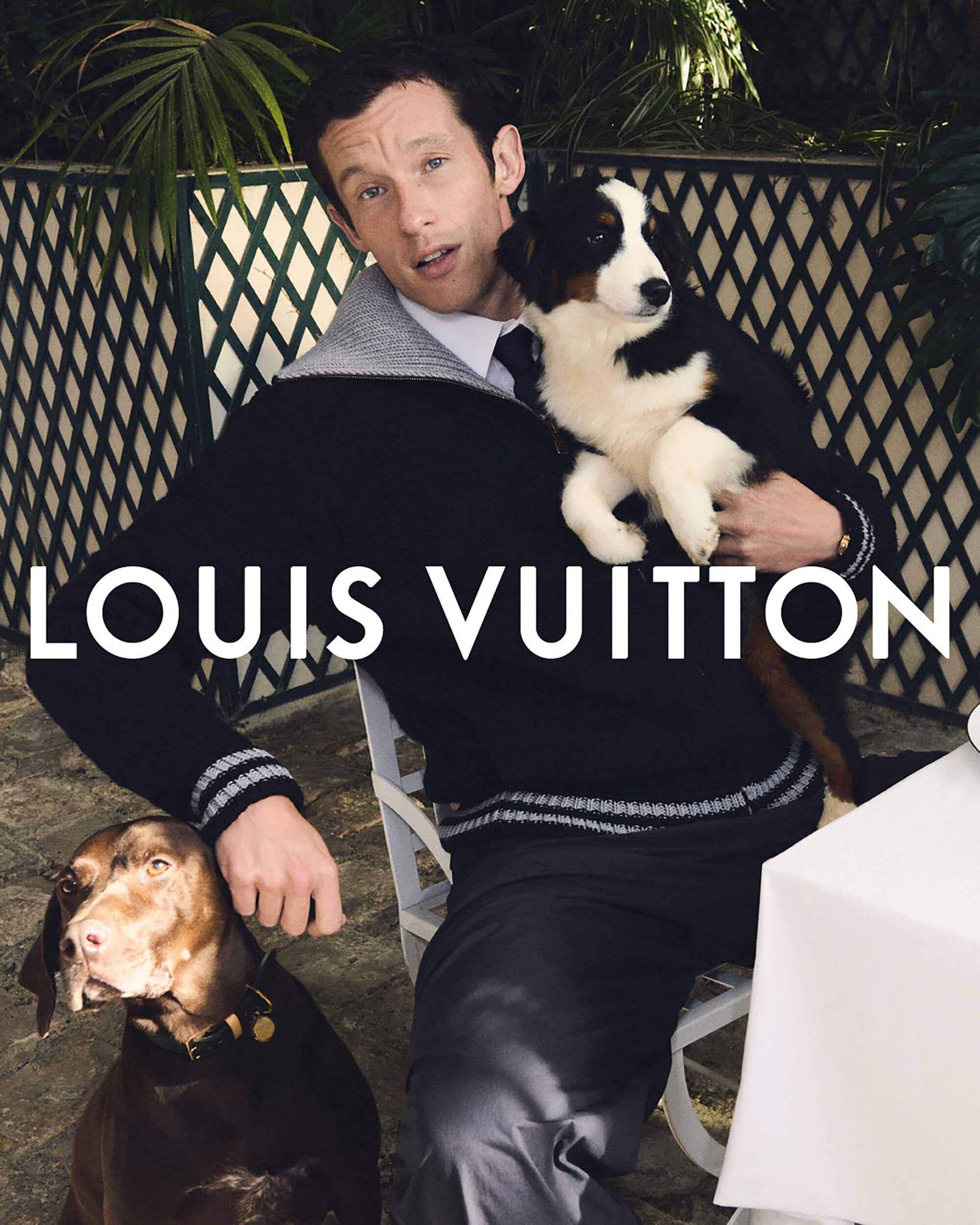 Man seated holding a Bernese Mountain Dog puppy while a Vizsla sits at his feet, an advertisement for Louis Vuitton.