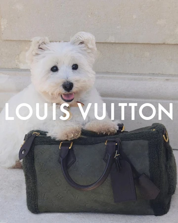 A white West Highland Terrier dog poses with its paws on top of a green Louis Vuitton handbag in front of a light-colored wall.