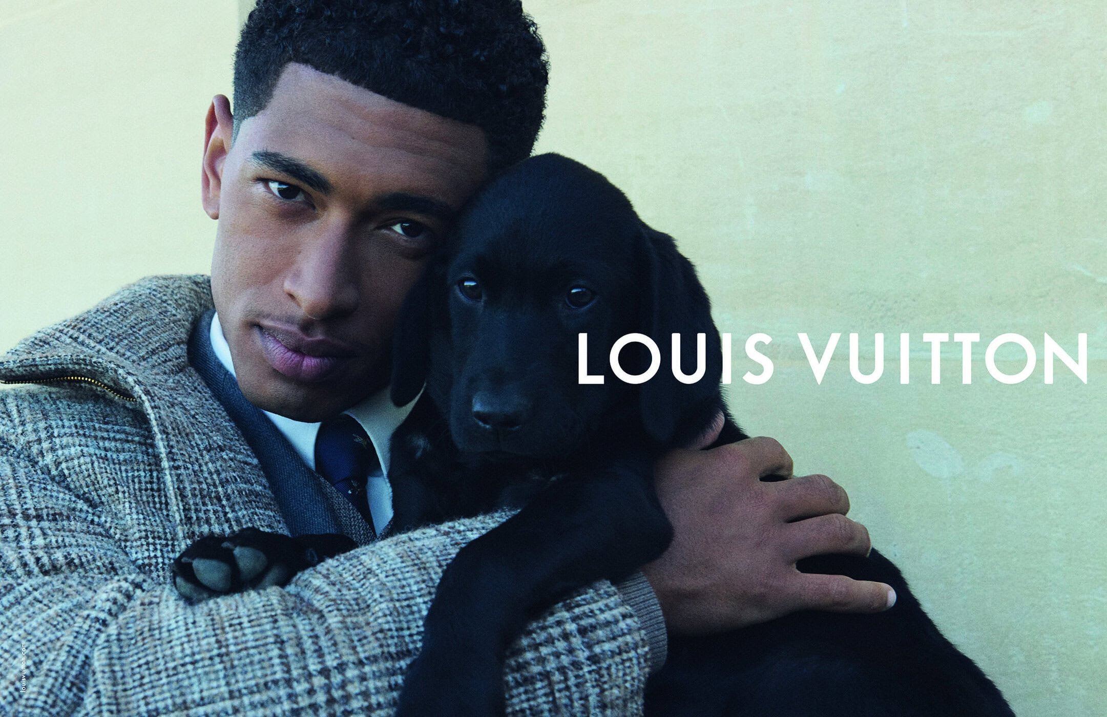 A young adult man in a tweed coat gently holds a black Labrador puppy, with the Louis Vuitton logo in white on a cream backdrop.