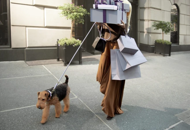 Airedale Terrier dog on a leash walks next to a woman laden with shopping bags and gift boxes on a city sidewalk in daytime.