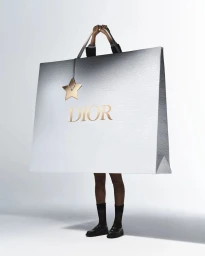 Model standing inside a giant silver Dior shopping bag with visible legs, black socks, and loafers against a white backdrop.