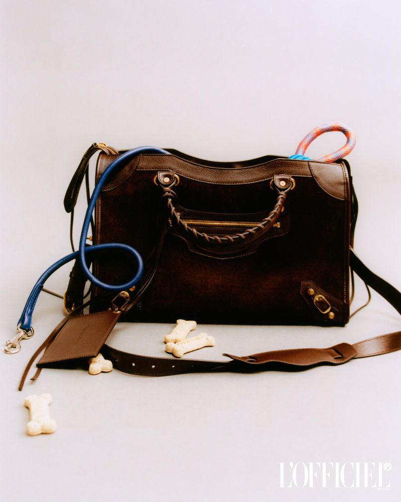 Brown leather handbag surrounded by dog leash, dog toy, and bone-shaped treats on a white backdrop, shot indoors with studio lighting.