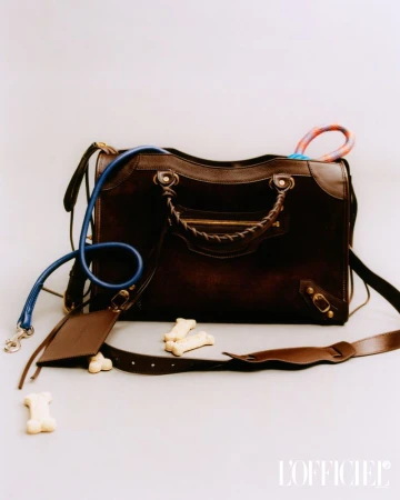 Brown leather handbag surrounded by dog leash, dog toy, and bone-shaped treats on a white backdrop, shot indoors with studio lighting.