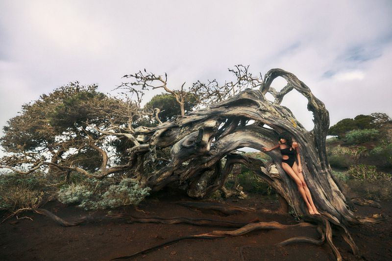 Woman in swimsuit posing in a unique, gnarled tree with a cloudscape backdrop, showcasing nature's artistry and human form.