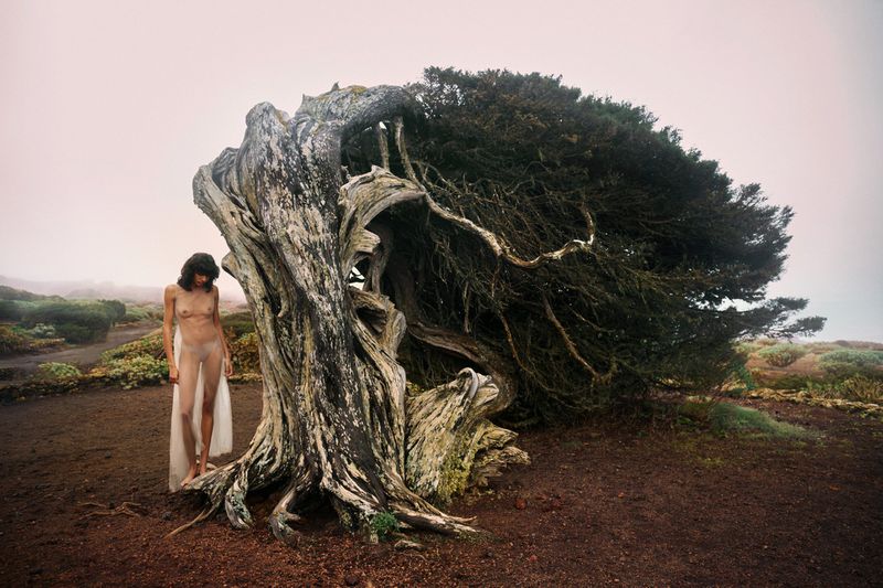 Adult female stands next to a twisted tree in a landscape with low shrubs under a cloudy sky, wearing a light-colored, sheer garment.