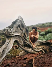 Model Maria Khan crouches atop a gnarled piece of driftwood in a rocky landscape for Harper's Bazaar España, photographed by Xavi Gordo.