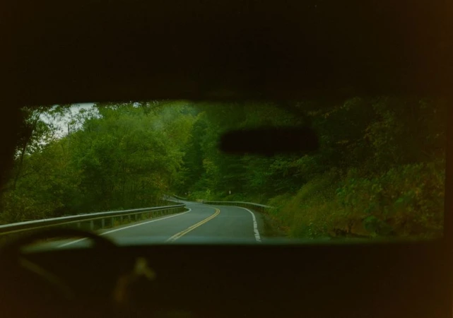 Road curving through a green forest seen from inside a car, providing a driver's perspective of a scenic route.