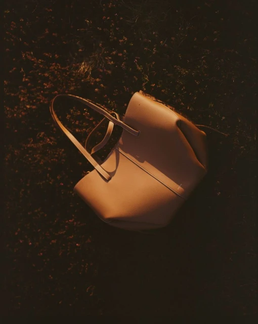 Studio shot of a stylish tan leather tote bag on a dark floral surface, bathed in warm, directional lighting.