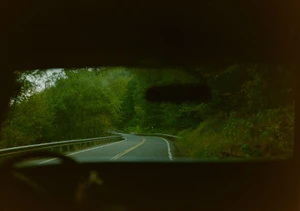 POV shot through a car windshield looking out at a winding two-lane road flanked by dense green trees and guardrails.