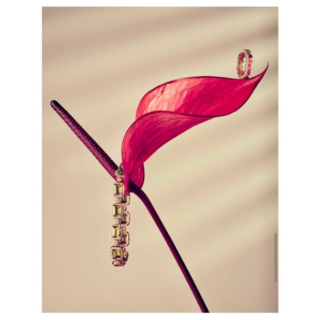 Jewelry product shot with a ring and bracelet displayed on a red anthurium flower against a neutral background with shadow.