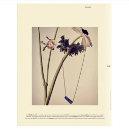Close-up jewellery editorial featuring a gold ring and necklace draped over flower stems on a cream page