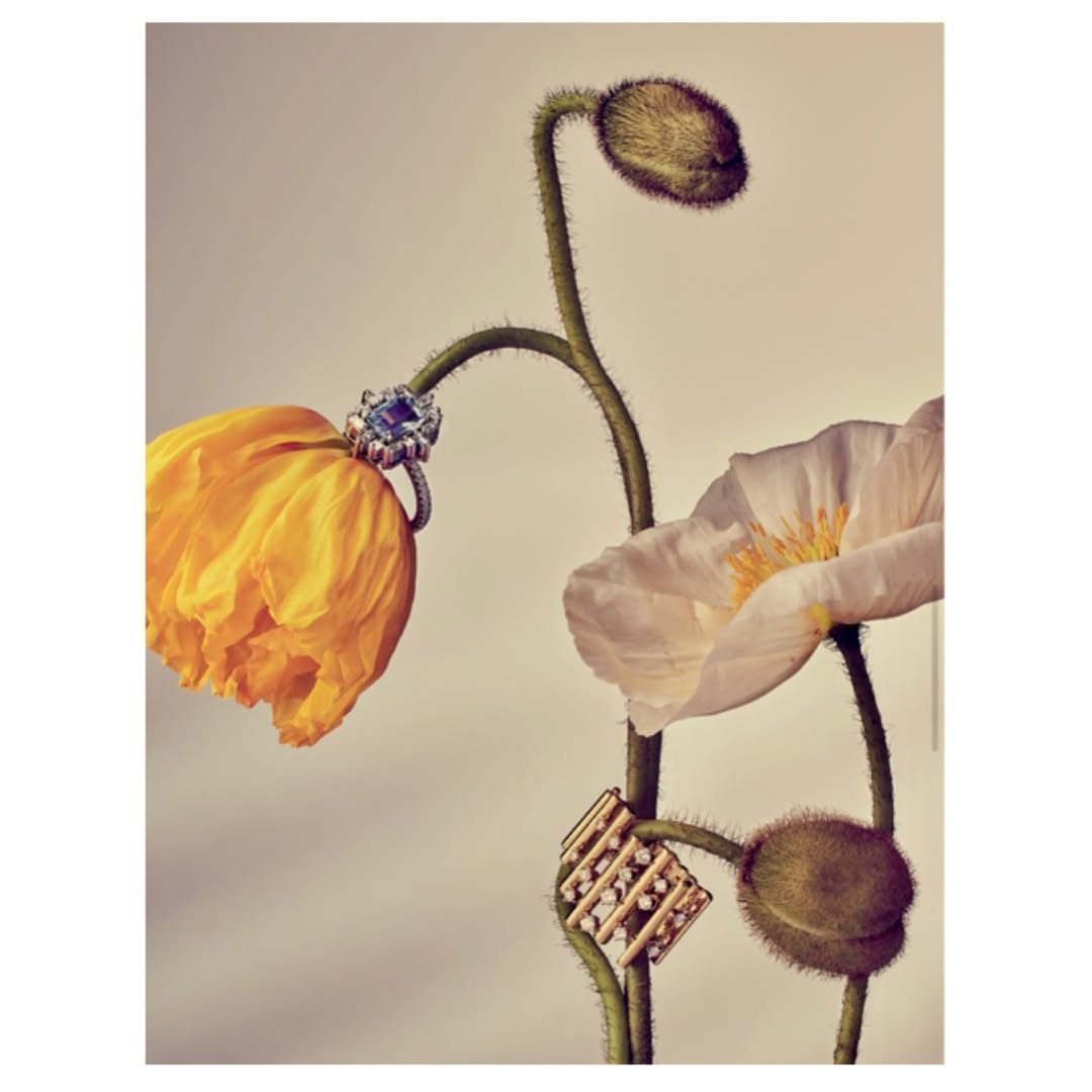 Still life shot of jewelry on poppy stems, featuring a ring with a blue stone and a gold and diamond pendant, soft lighting.