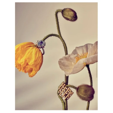 Still life shot of jewelry on poppy stems, featuring a ring with a blue stone and a gold and diamond pendant, soft lighting.