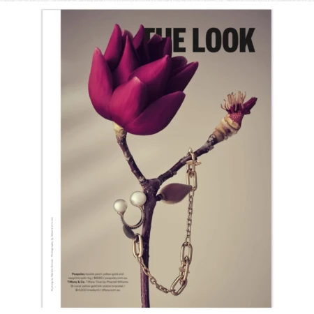 Still life of a branch featuring a pink magnolia flower, a pearl ring, and a gold chain, set against a neutral backdrop.
