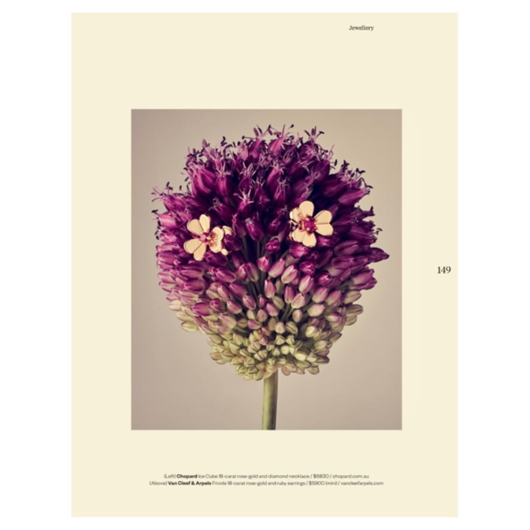 Floral still life: A purple allium flower is the main subject, with beige background. A beige advertisement page is visible.
