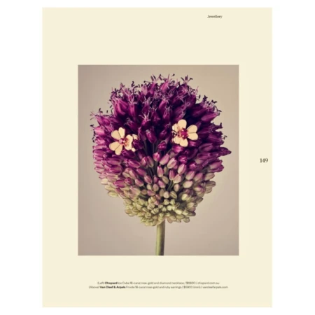 Floral still life: A purple allium flower is the main subject, with beige background. A beige advertisement page is visible.