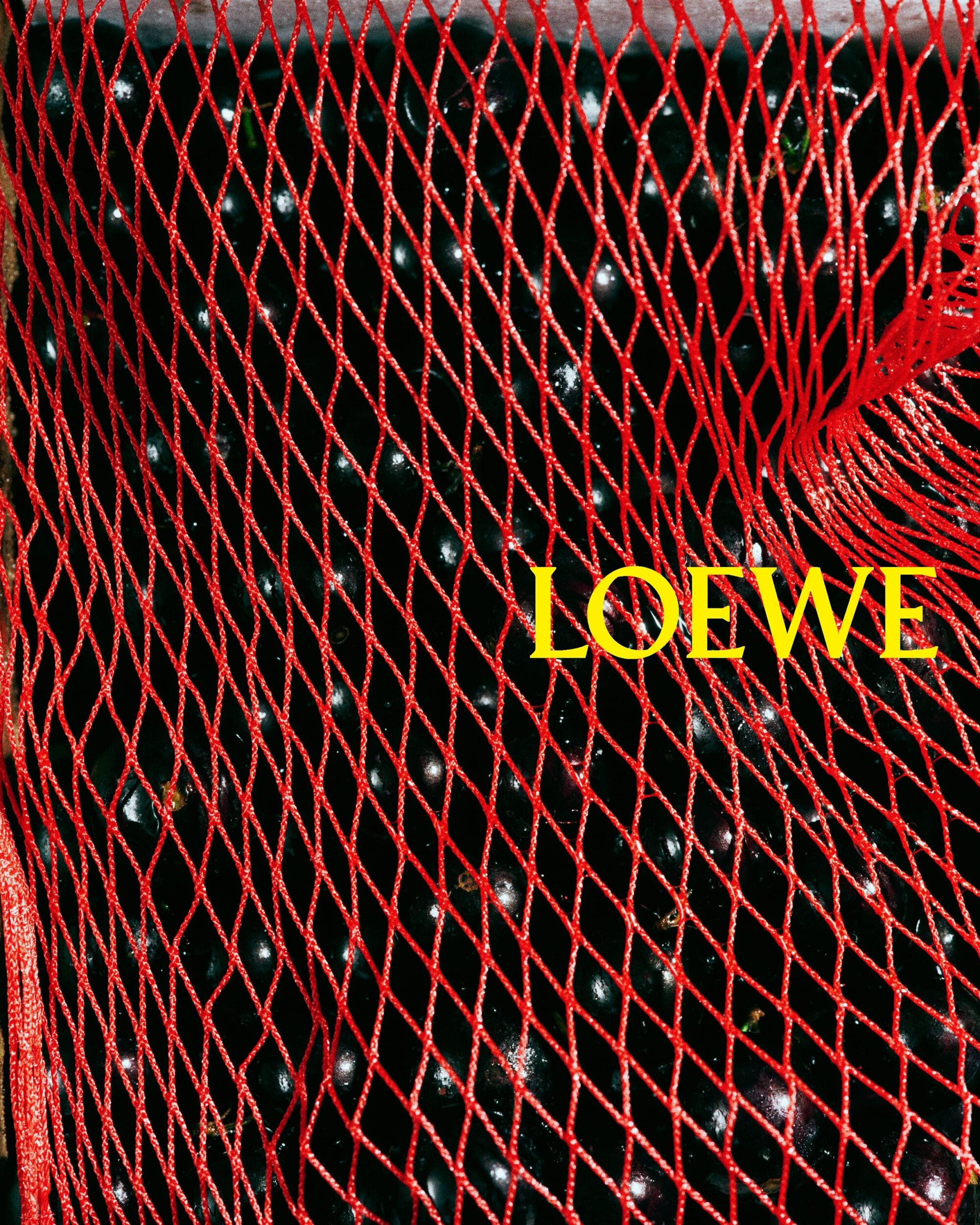 Close-up shot of a red net covering objects in darkness, with the brand name LOEWE displayed in a yellow serif font.