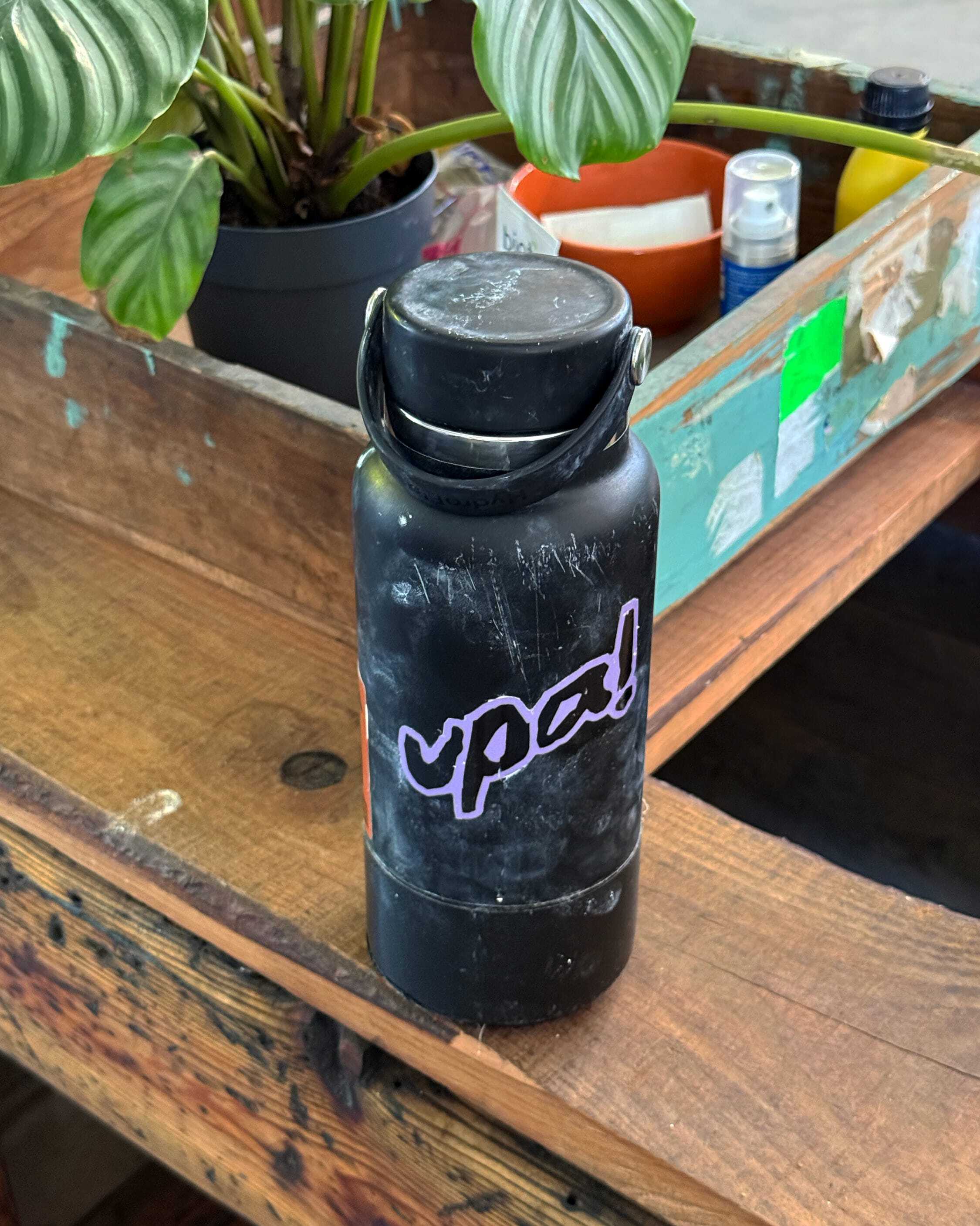 Black water bottle with an upa brand sticker resting on a wooden surface with a potted plant in background.