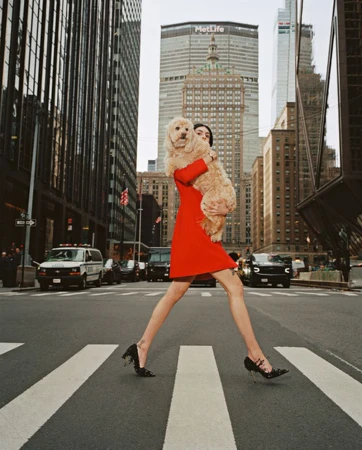 A woman in a red dress walks a crosswalk in a city street, holding a fluffy dog, with skyscrapers towering in the background.