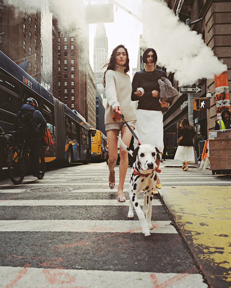 Two women walk a Dalmatian dog across a pedestrian crosswalk on a busy urban street with tall buildings and steam.