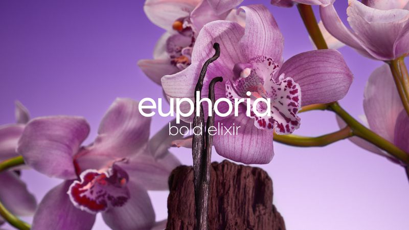 Close-up of purple orchid flowers with vanilla bean stalks, set against a soft purple background with the text 'euphoria bold elixir'.