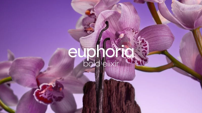 Close-up of purple orchid flowers with vanilla bean stalks, set against a soft purple background with the text 'euphoria bold elixir'.