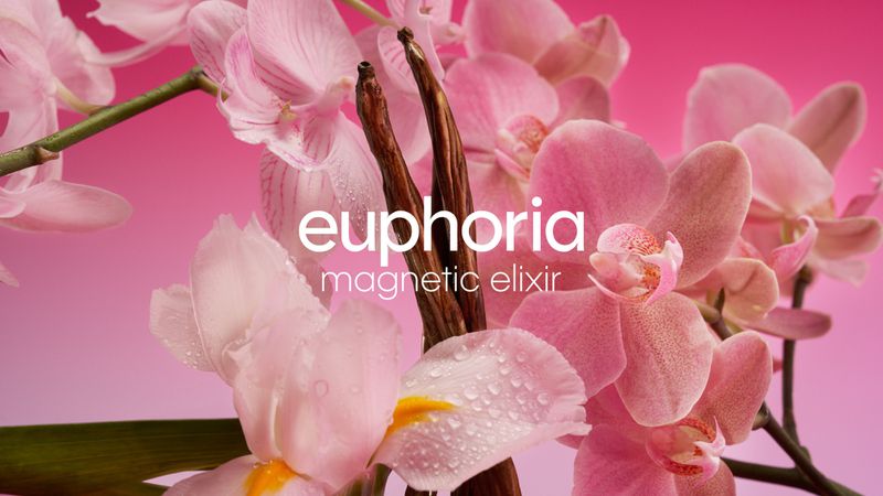 Close-up studio shot of pink orchids, brown vanilla beans, and 'euphoria magnetic elixir' text on a graduated pink background.