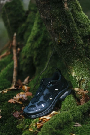 Black sneaker on mossy tree trunk in outdoor setting. Athletic shoe displayed in nature. Product shot of footwear in a natural environment.
