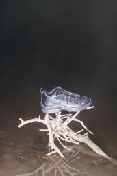 A dark sneaker resting on a bleached branch structure set against a dark, moody background for the OAMC x Salomon collaboration.