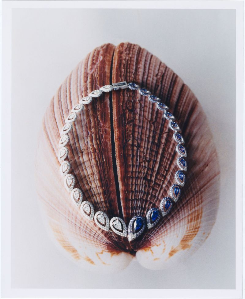 Elegant necklace featuring diamonds and sapphires displayed on a seashell, showcasing jewelry design and natural elements.