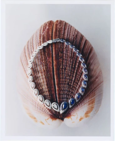 Elegant necklace featuring diamonds and sapphires displayed on a seashell, showcasing jewelry design and natural elements.