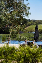 Outdoor pool with people relaxing overlooking a green vineyard and rolling hills under clear sunlight.
