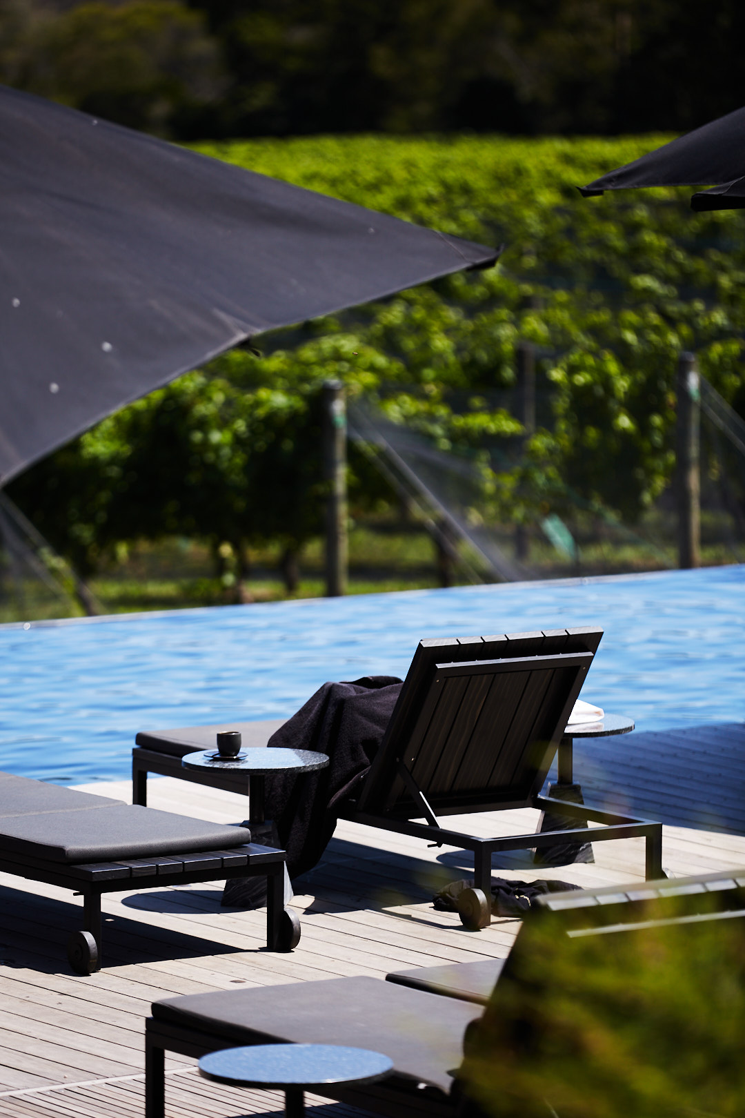 Outdoor lounge area featuring chaise lounges and umbrellas alongside an infinity pool, with a verdant vineyard in the background.