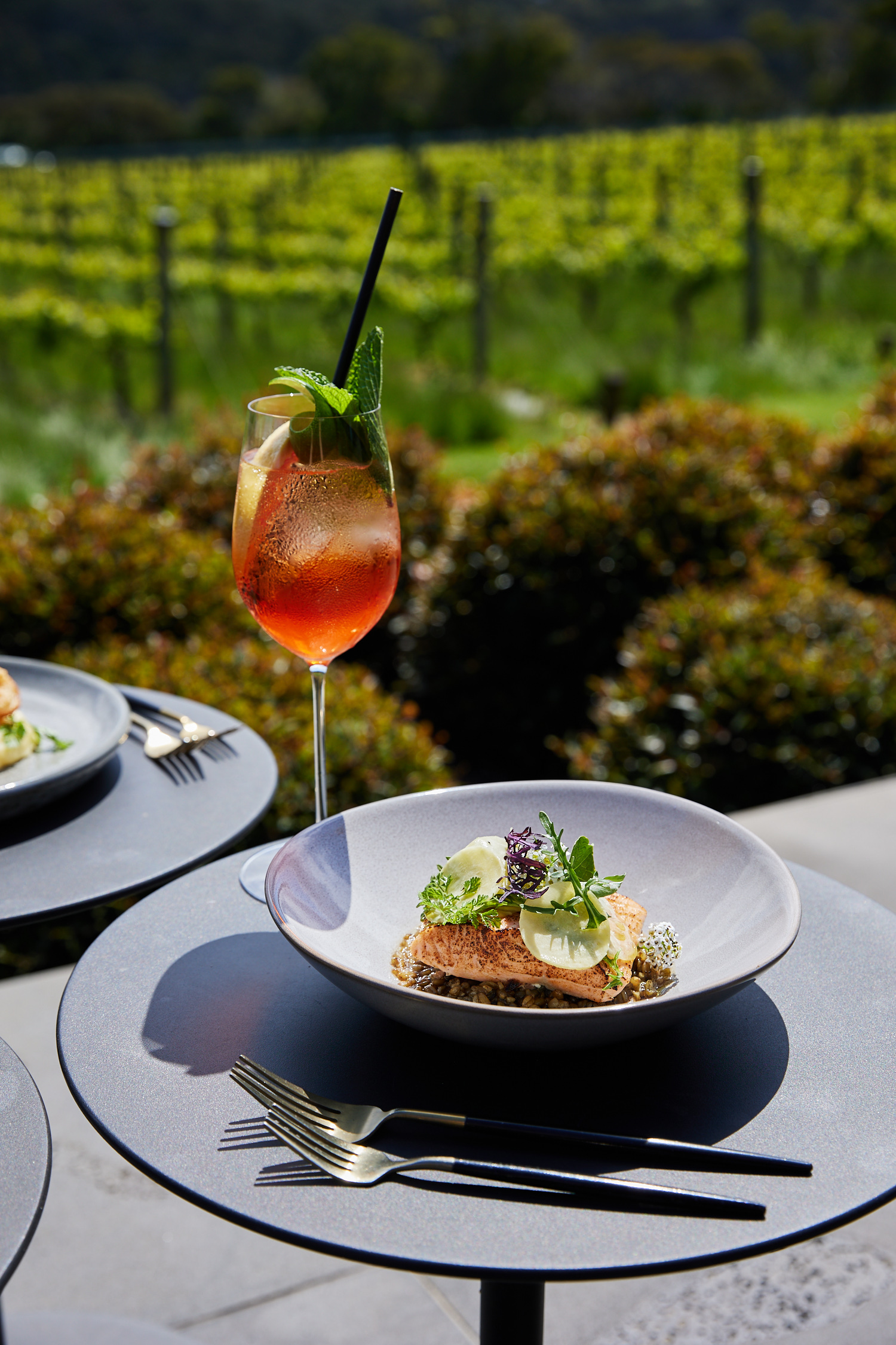 Elevated outdoor dining: A plate of garnished salmon and a tall cocktail grace a gray table, set against a backdrop of lush greenery.