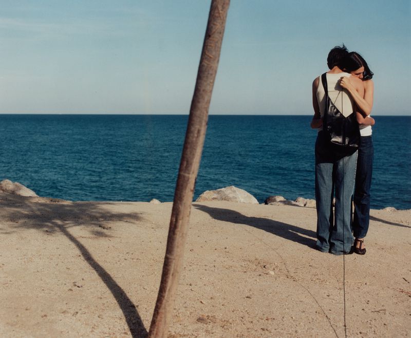 A couple embraces on a sandy beach next to the ocean beneath a clear sky. A palm tree trunk stands in the foreground.