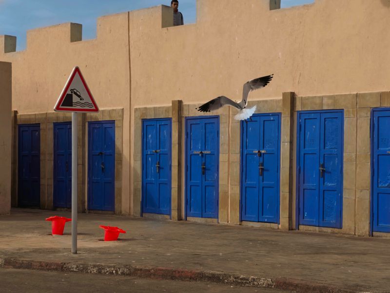 Seagull in flight, doors on tan building, road sign, red buckets on weathered pavement and a man atop building in background.