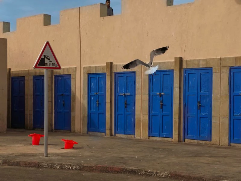 Seagull in flight, doors on tan building, road sign, red buckets on weathered pavement and a man atop building in background.