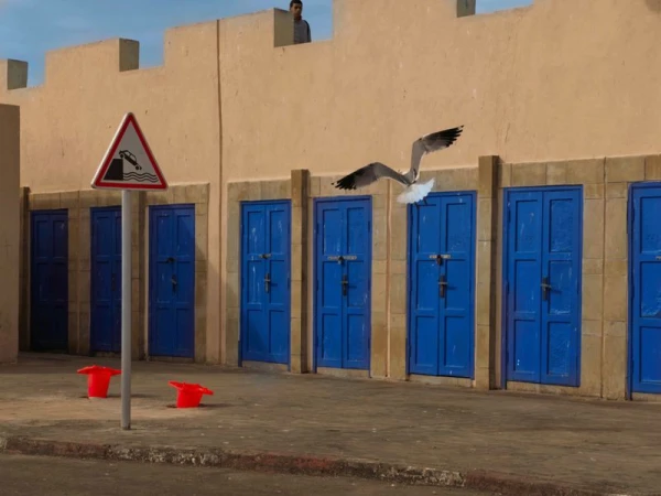 Seagull in flight, doors on tan building, road sign, red buckets on weathered pavement and a man atop building in background.