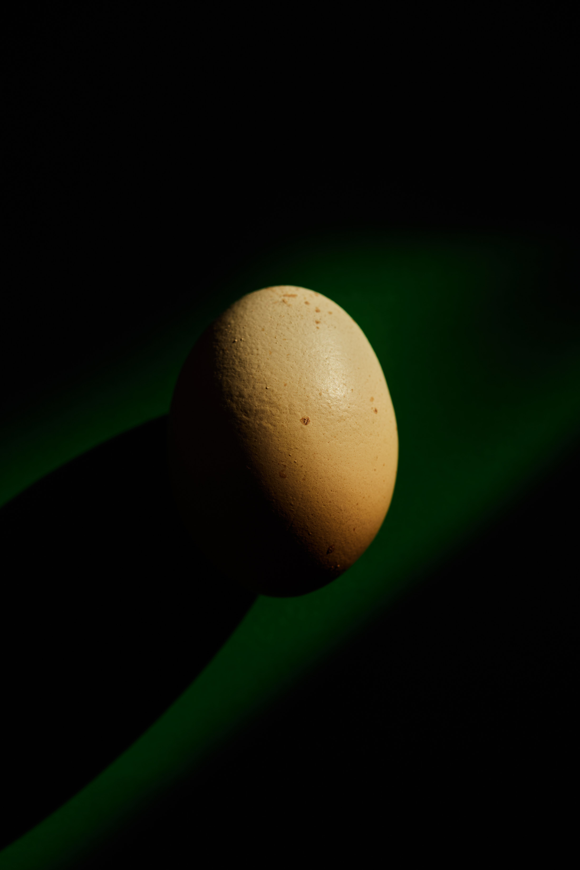 Close-up studio shot of a single brown egg set against a stark black background with a green gradient accent, emphasizing texture and shadow.