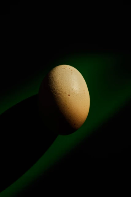 Close-up studio shot of a single brown egg set against a stark black background with a green gradient accent, emphasizing texture and shadow.