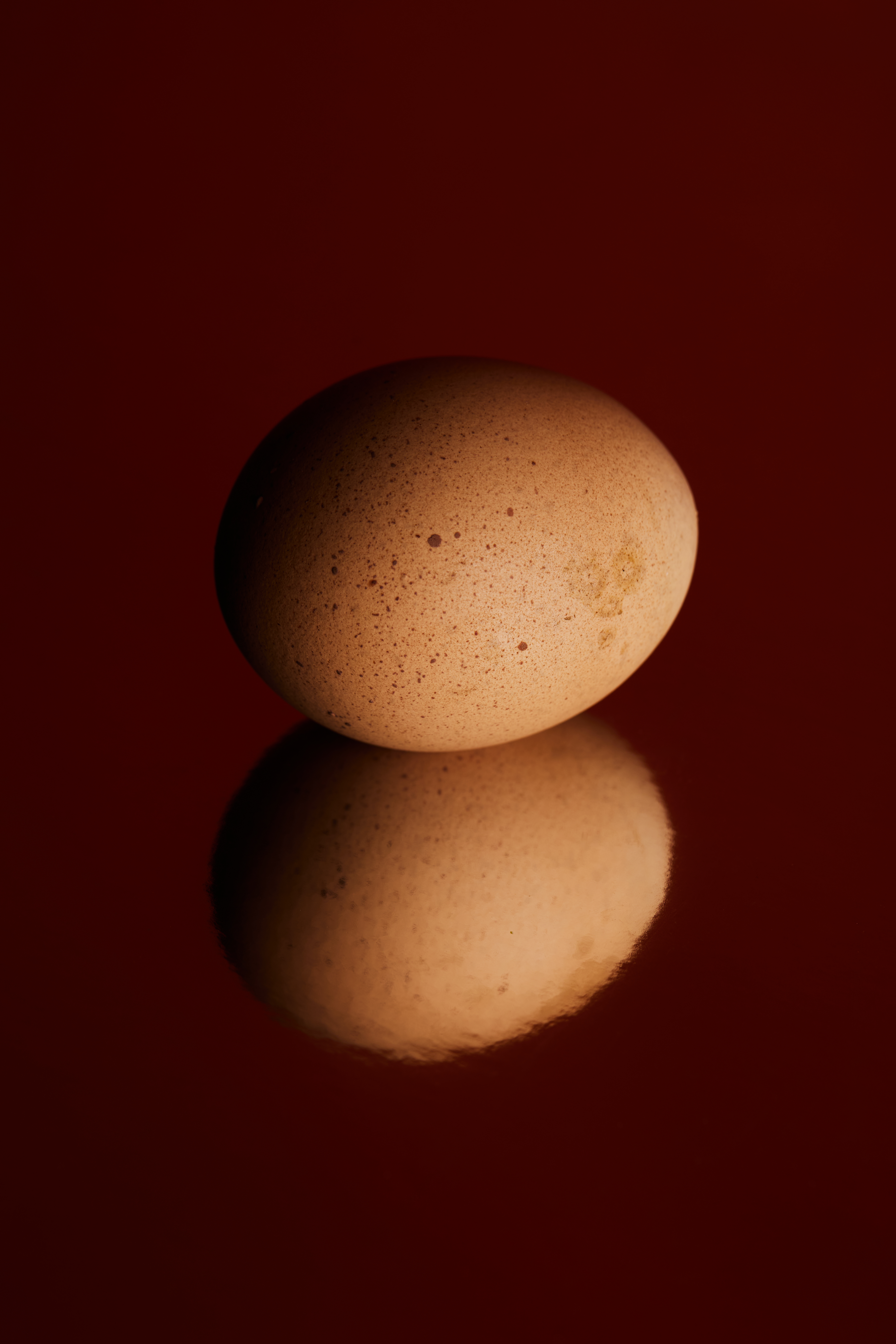 Close-up studio shot of a brown chicken egg on a reflective dark red surface, capturing its texture and subtle color variations.