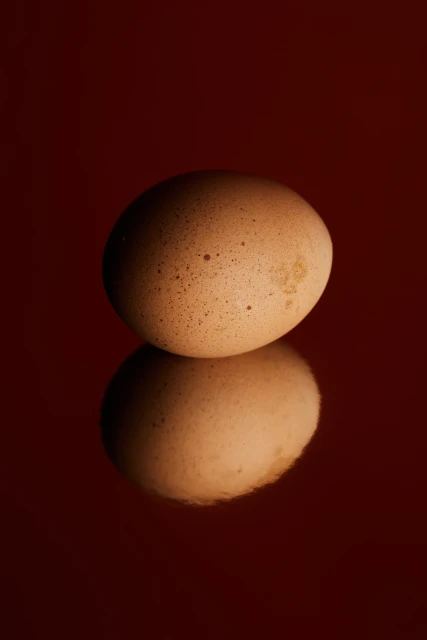 Close-up studio shot of a brown chicken egg on a reflective dark red surface, capturing its texture and subtle color variations.