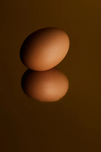 Brown egg displayed on a reflective brown surface; the smooth shell reflects light, creating a soft, mirrored effect beneath the egg.