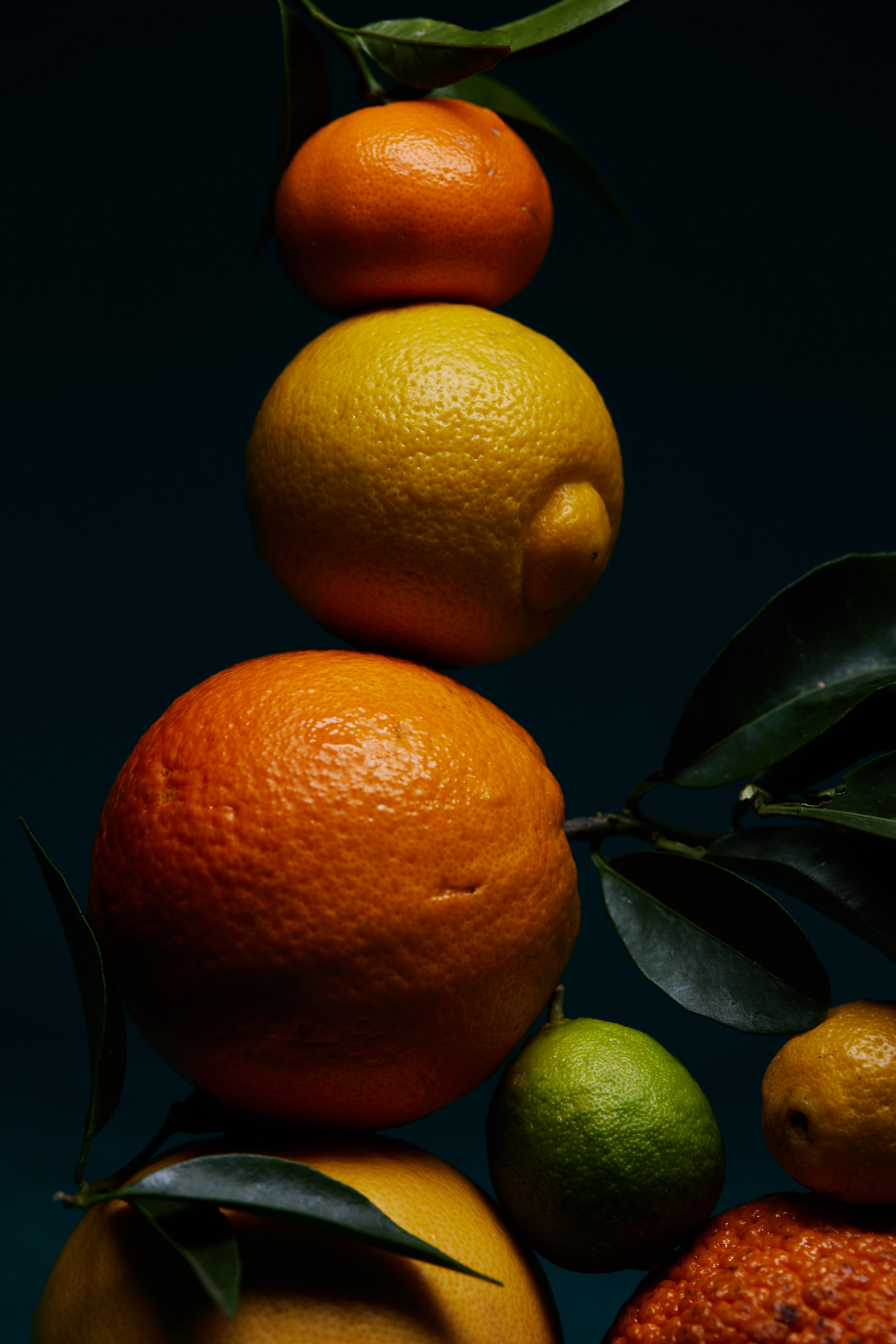 Still life photography of stacked citrus fruits including oranges, lemon, lime, and tangerine against a dark teal background.