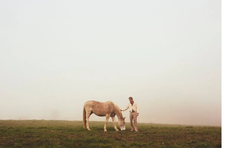 A person in neutral clothing stands on a grassy field next to a pale horse in a foggy outdoor environment with earth tone hues.