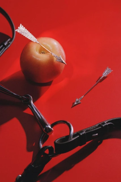 Still life of an apple pierced with a decorative arrow on a red background, alongside another arrow and part of a horse bridle.