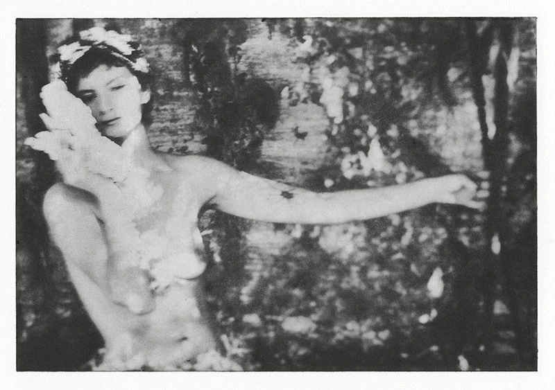 Anthemoessa